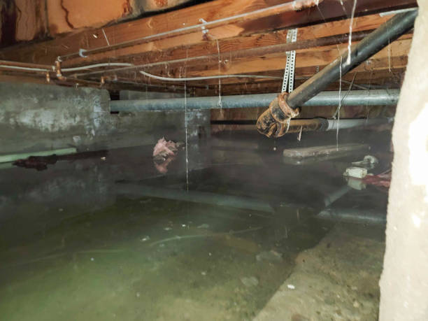 Best Water damage contractors near me  in Ponchatou, LA
