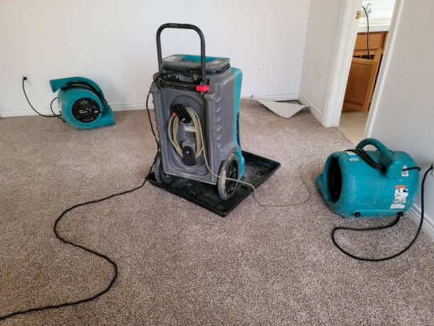 Best Professional water damage repair  in Ponchatou, LA