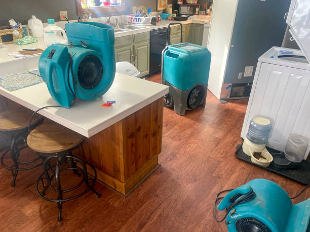 Best 24-hour water damage restoration  in Ponchatou, LA