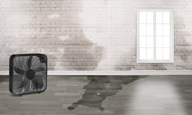 Best Water damage restoration near me  in Ponchatou, LA