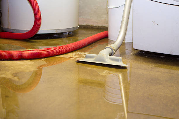 Best Flooded house restoration  in Ponchatou, LA
