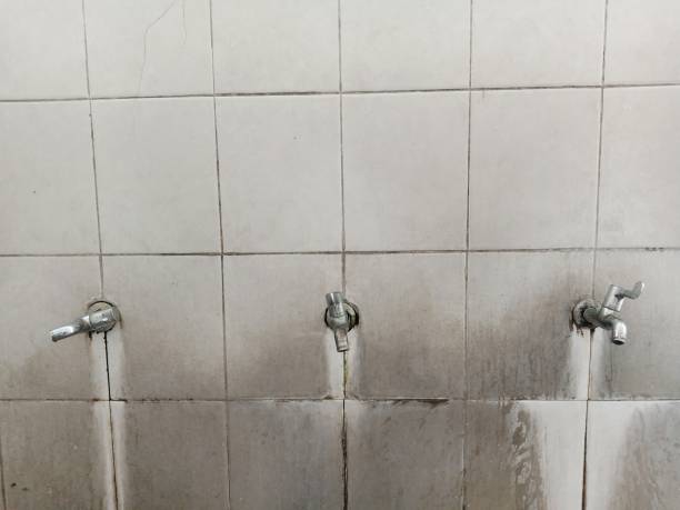 Best Water damage restoration near me  in Ponchatou, LA
