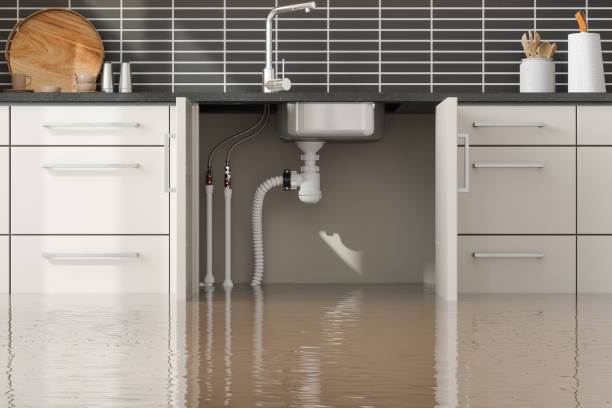 Best Commercial water damage restoration  in Ponchatou, LA